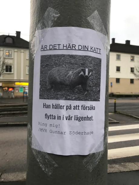 Best Funny göteborg Memes - 9GAG