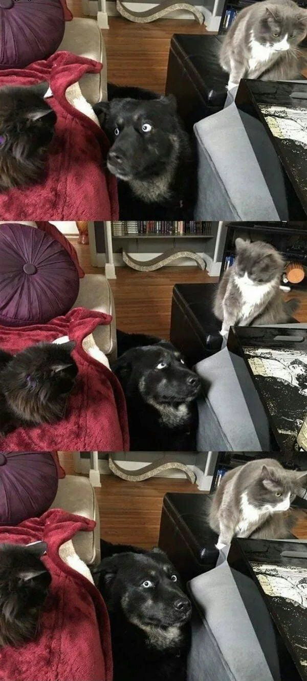 "aw sh*t, help me out dude"