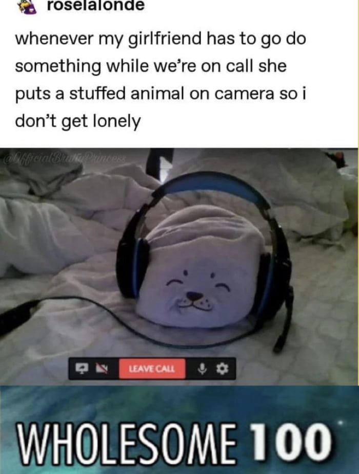 Ah Yes The Wholesome Seal Of Approval 9GAG