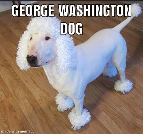 did george washington have a dog