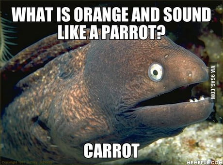 Carrot fish - 9GAG