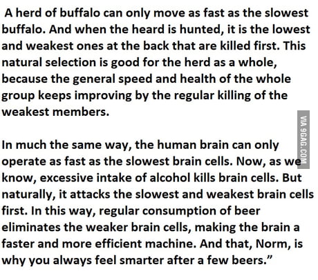 praktiserende læge i live kredit The buffalo theory is concrete proof that getting drunk is good for your  intelligence - 9GAG