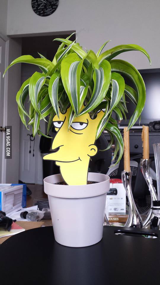 I bought a new plant because it reminded me of someone. 9GAG