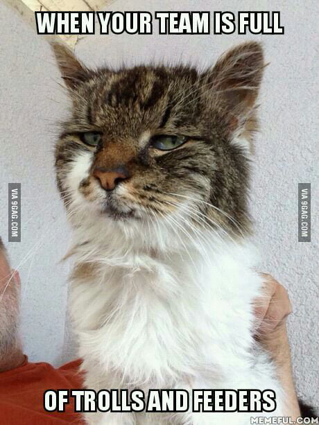 No Problem For The Guy Who Want This To Be A Meme The Cat Is Not Amused 9gag