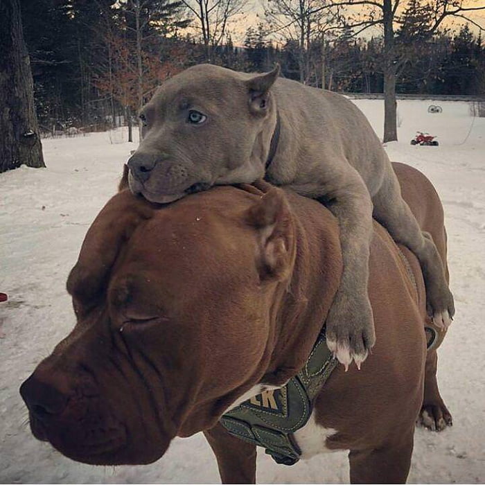 When your lil bro doesn't want to get his feets cold