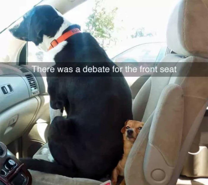 Good boys being bad.