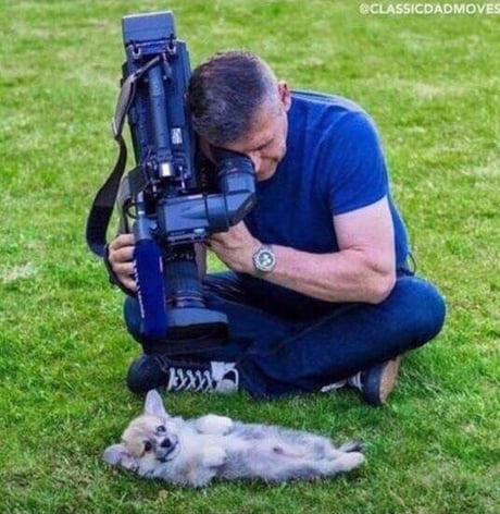 Poor Dog Condemned To Execution By Rocket Launcher 9gag