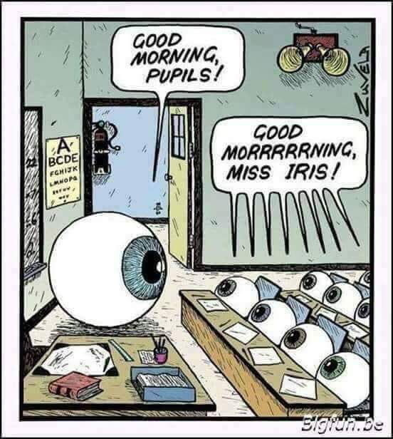 Eye eye captain!
