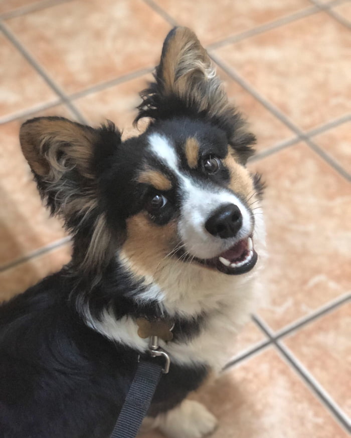 Had a V good trip to the vets office today!
