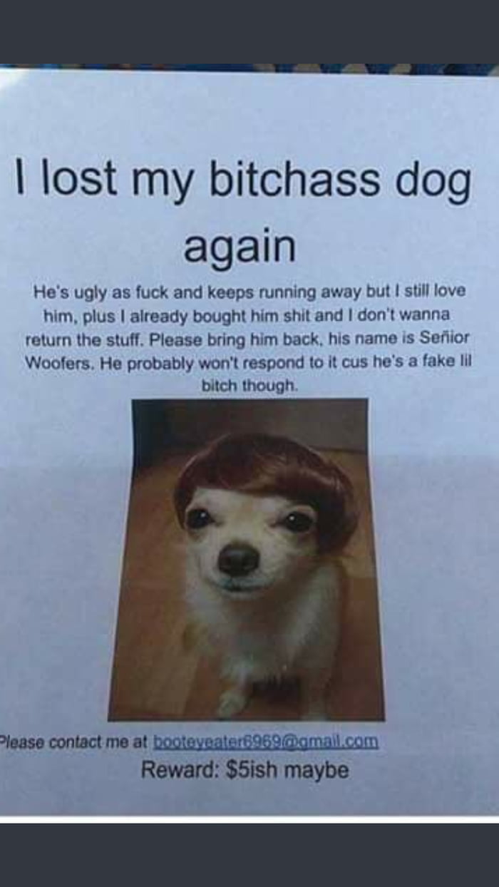 I lost my b*tchass dog agin