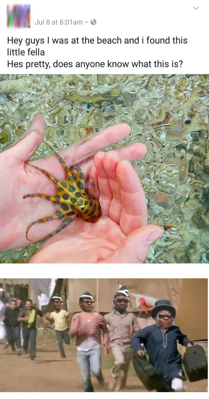 The coffin guys are back! and they’re on their way to Austria!