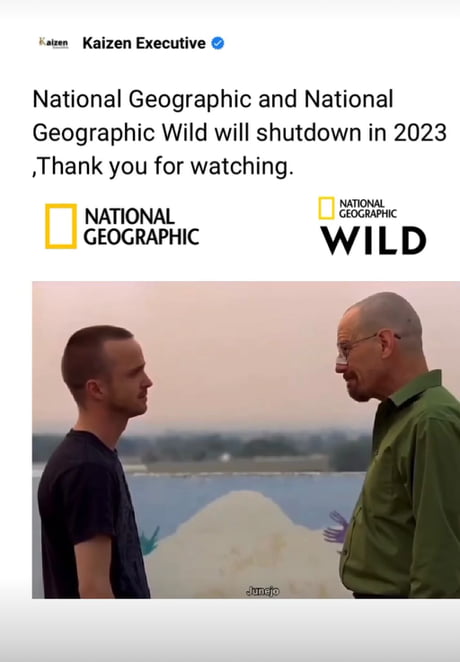 NatGeo be like: - 9GAG