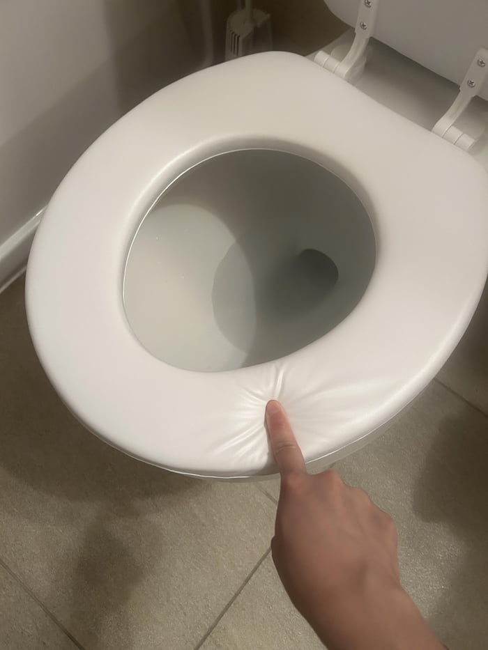 Old toilet seat broke from wear & tear, so landlord replaced it with ...