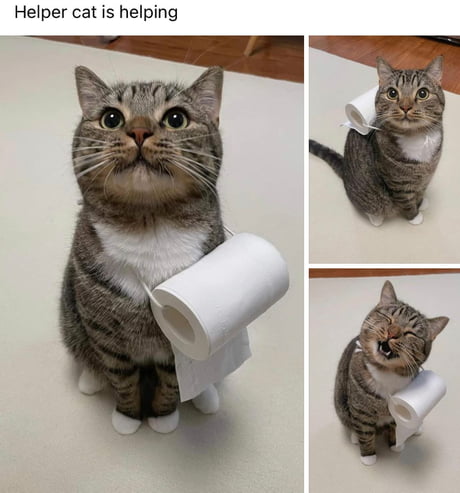 Hey There Toilet Buddy! - 9Gag