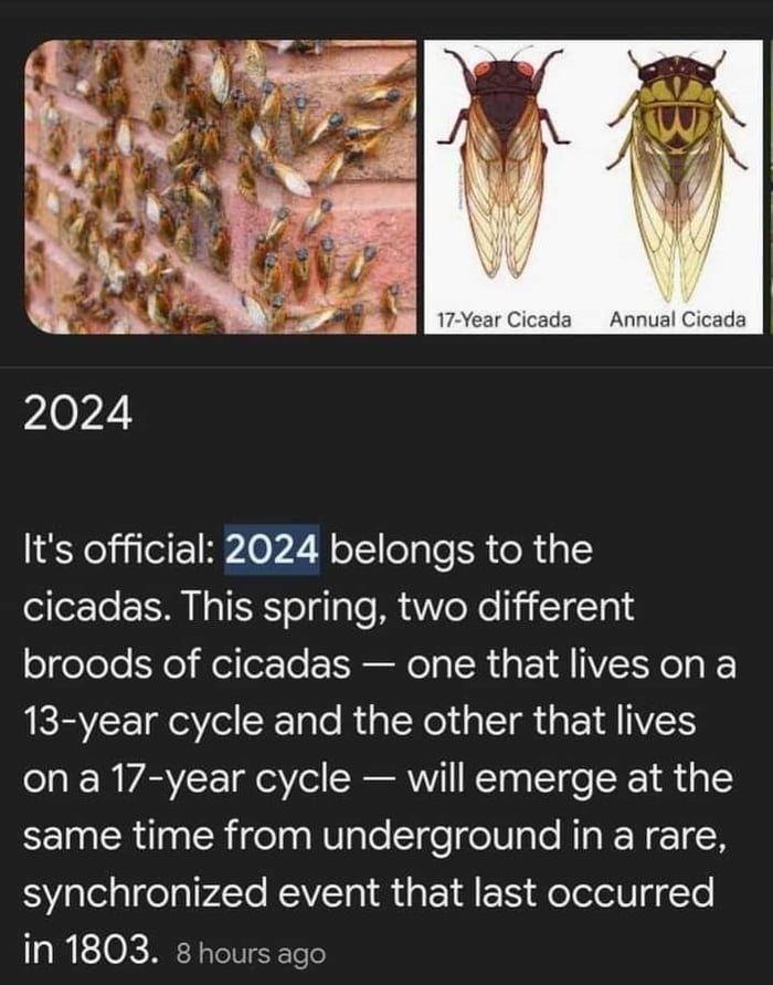 Take great перевод. фразовый глагол take.