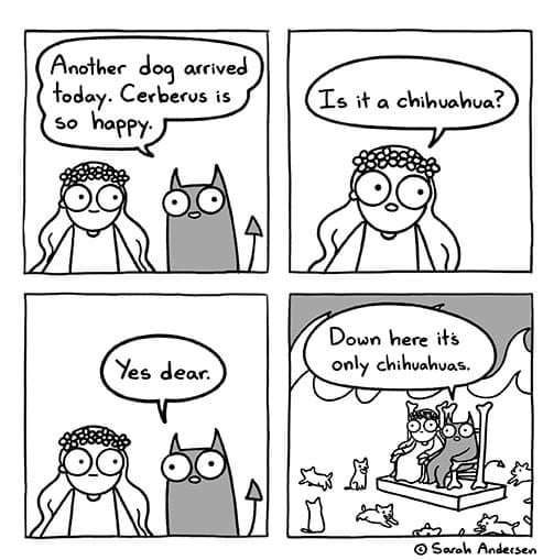 Please do not the dog 9GAG