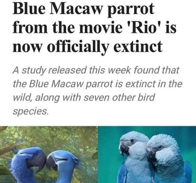 This is so sad!