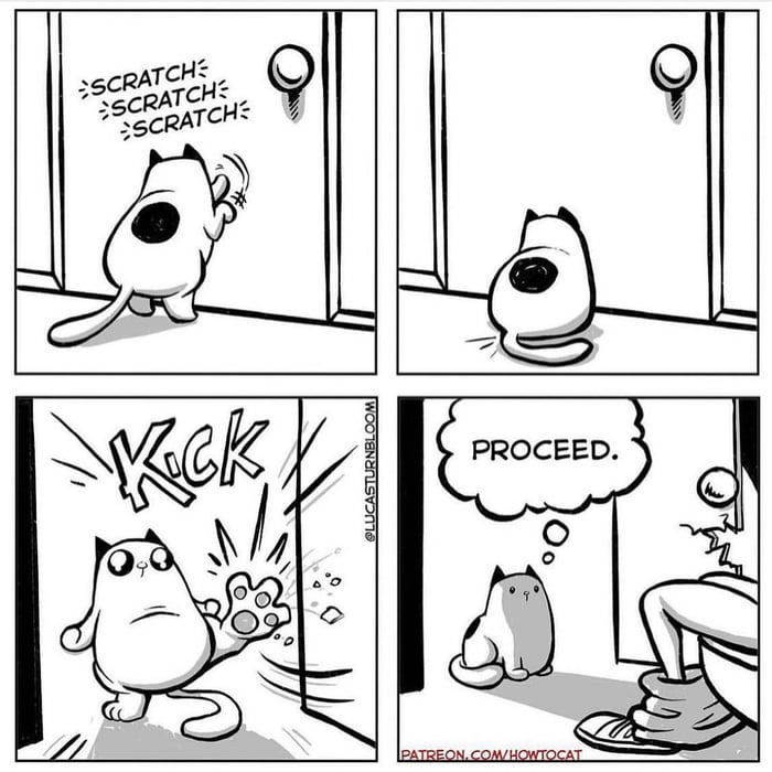 How To Cat 9GAG how-to-cat-9gag