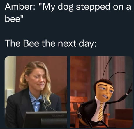 Dog Stepped On A Bee GIF