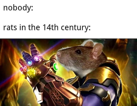 Best 30 Rat Fun On 9gag