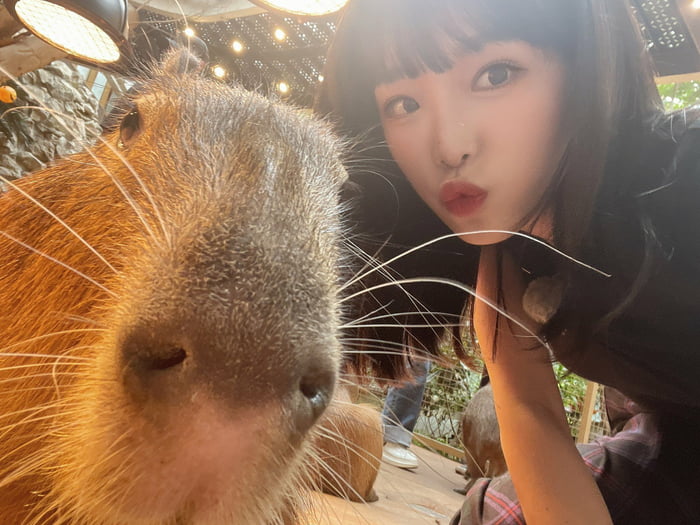 Photo : Yena and capybara