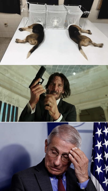 Best 30 John Wick Fun On 9gag