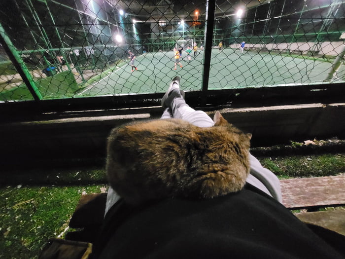 Cat suddenly jumped on me and started sleeping ) 9GAG