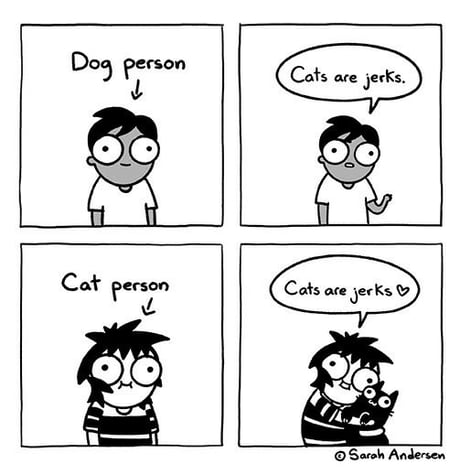Cat is love