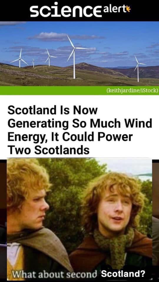 Canny have enough Scotland&rsquo;s