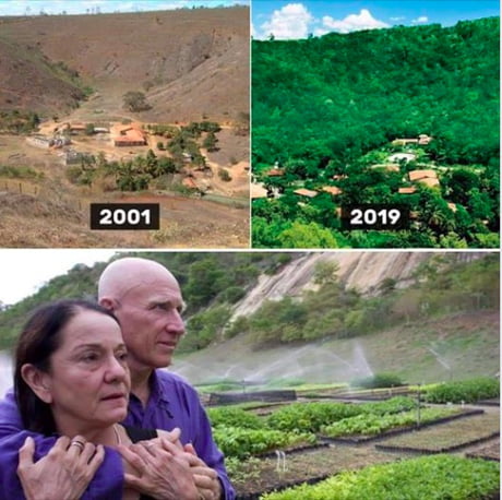 Photographer Sebasti&atilde;o Salgado and his wife L&eacute;lia Salgado decided to Plant 2 Million trees in 20 years to restore a destroyed forest in Brazil. Even The wildlife has returned, some 172 bird species have returned, as well as 33 species of mammals, an entire ecosystem rebuilt from