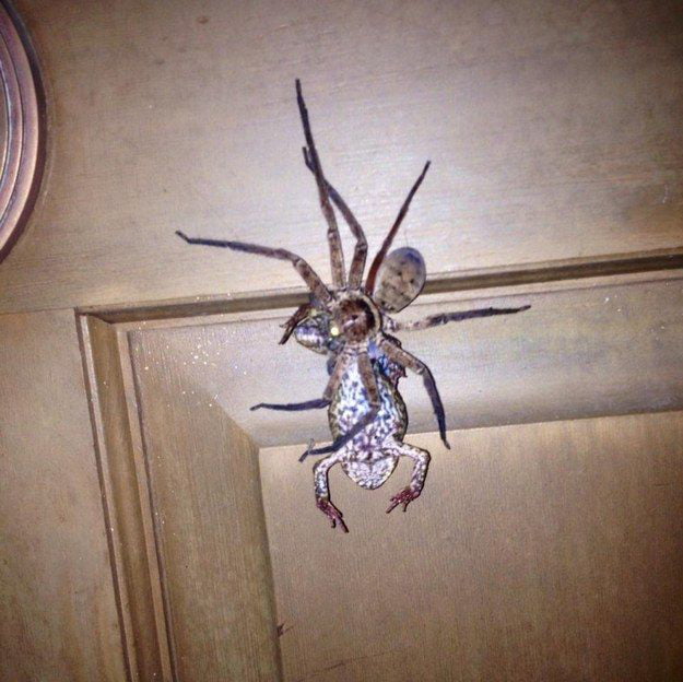 For f**k sake !!