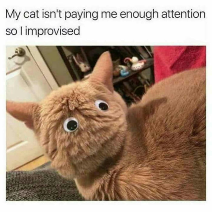 Improvise. Adapt. Overcome