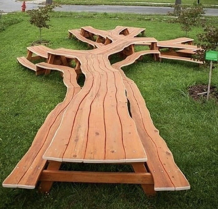 At this point you should&rsquo;ve just kept the tree in the ground :/