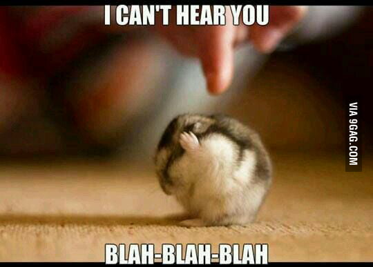 I cant hear you ^-^