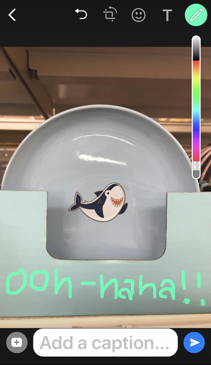 Saw this Shark Plate at Poundland today. 9GAG