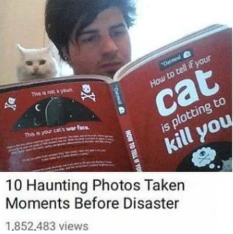 Oh shit