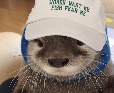 otter hat