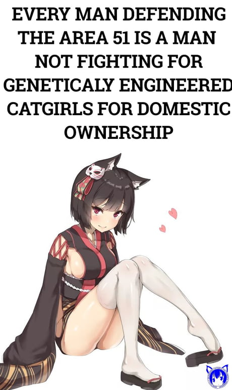 Genetically engineered catgirls for domestic ownership - 9GAG