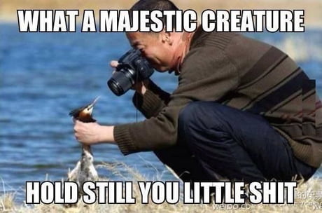 Photography is easy