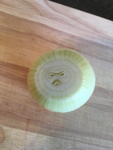 pokemon angry onion