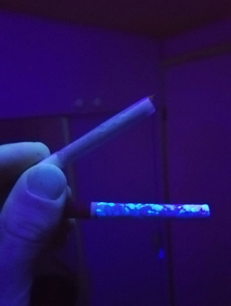 cigarette under a blacklight Rolled and factory cigarette under UV light