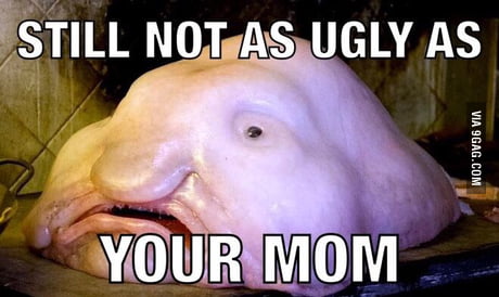 Blobfish Meme Generator - Imgflip