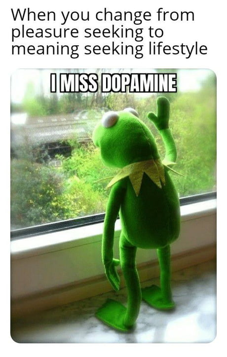 Kermit lives for a higher purpose - 9GAG