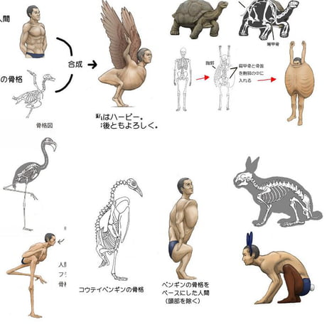 Illustrator Shows How Humans Would Look If We Had Various Animals' Bone  Structures (Satoshi Kawasaki) - 9GAG