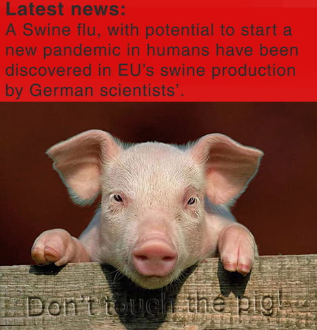 Preparing for Swine Flu with Memes!, by Youngun India