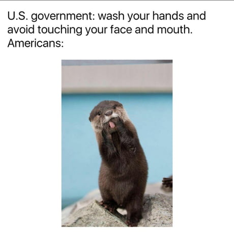 Otter Memes