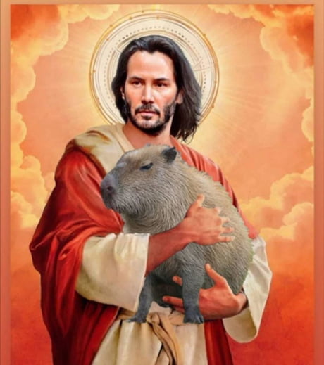Our Lord Has A New Pet His Name Is Carpincho 9gag