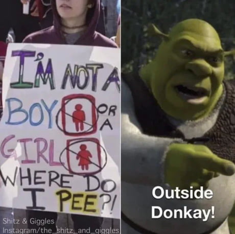 Nice Shrek meme - 9GAG