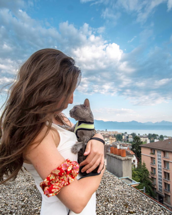 Включи вероятные. Кошечка путешественница. Девушки социальные сети кошки. Кошки в Италии. Девочка путешественница и кот коллекция.