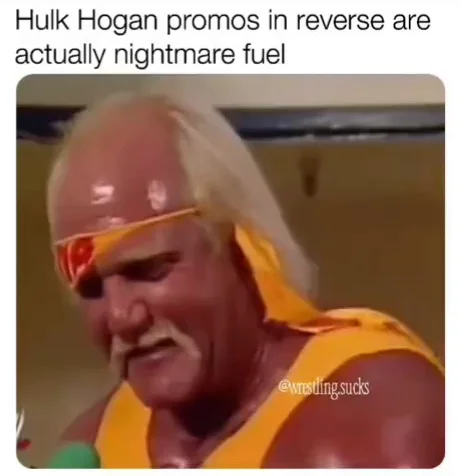 hulk hogan funny meme